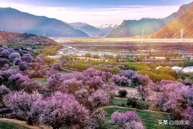 够你偷发一辈子的朋友圈高级文案