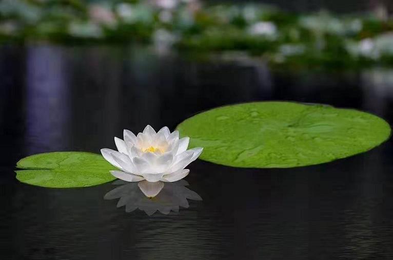 有佛缘的六种人,一个人有没有福报看哪里