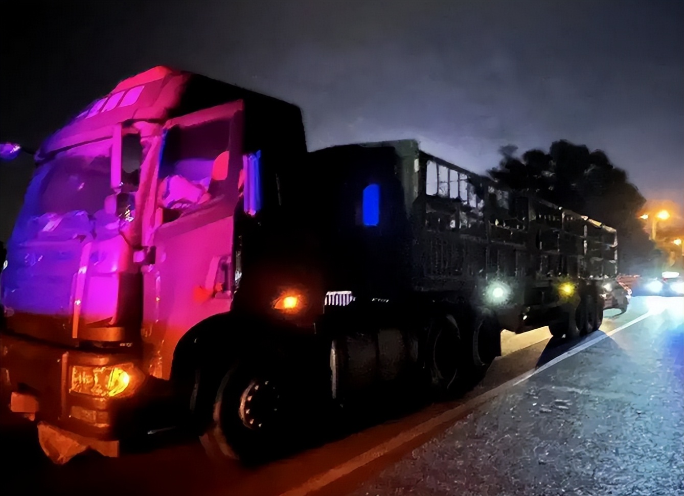 卡哥卡嫂怎么去世的,卡哥卡嫂事件