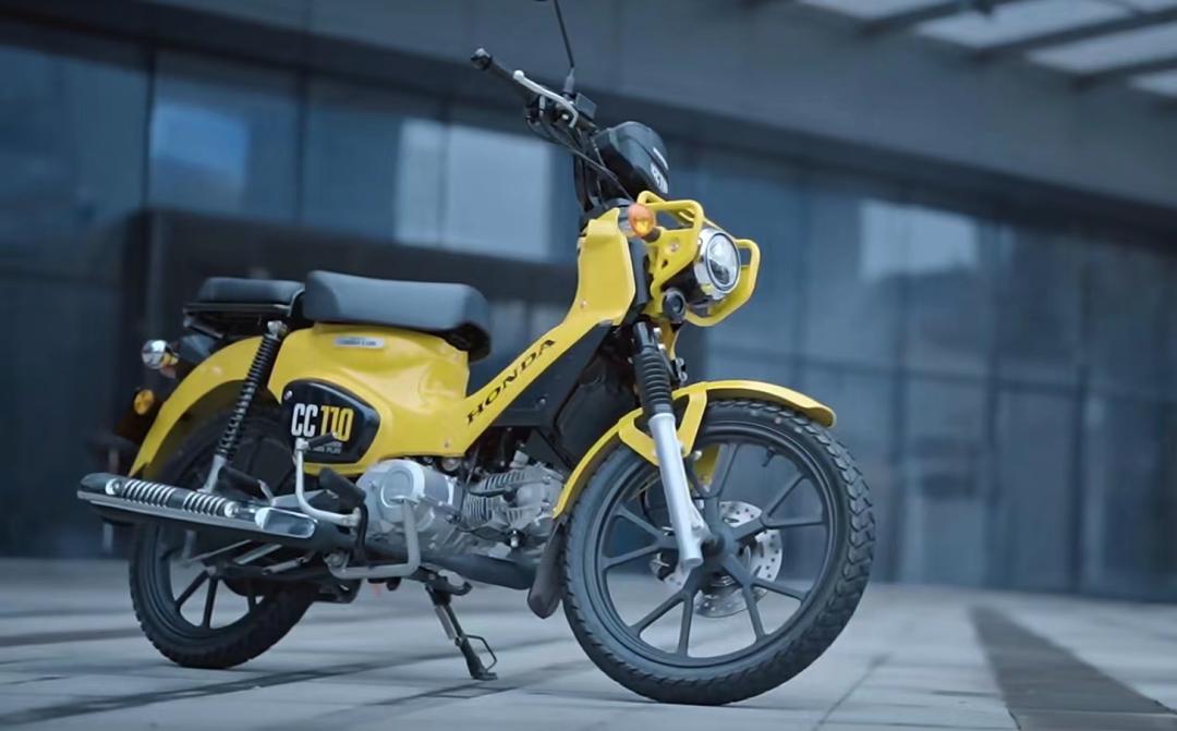 cc110幼兽值得买吗,幼兽cc110详细测评