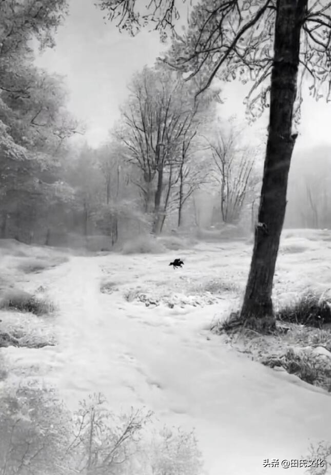 田氏文化,田氏宗亲文化传播