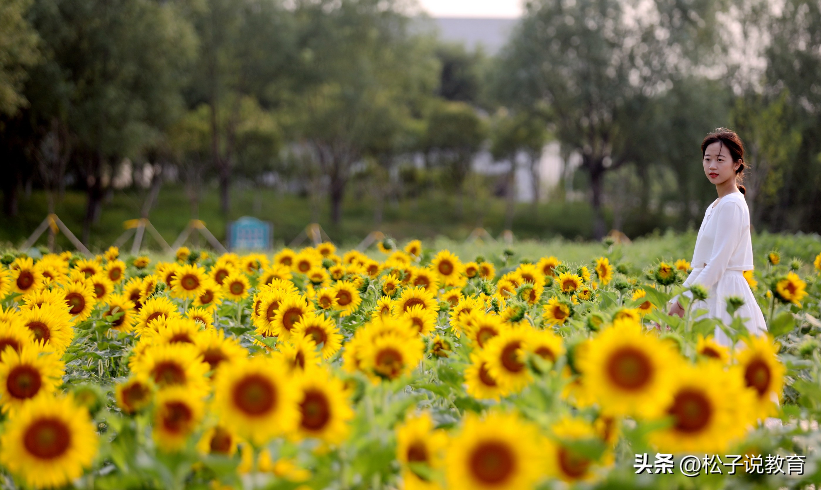 临沂大学亚洲最大的大学,临沂大学亚洲单体面积最大的大学