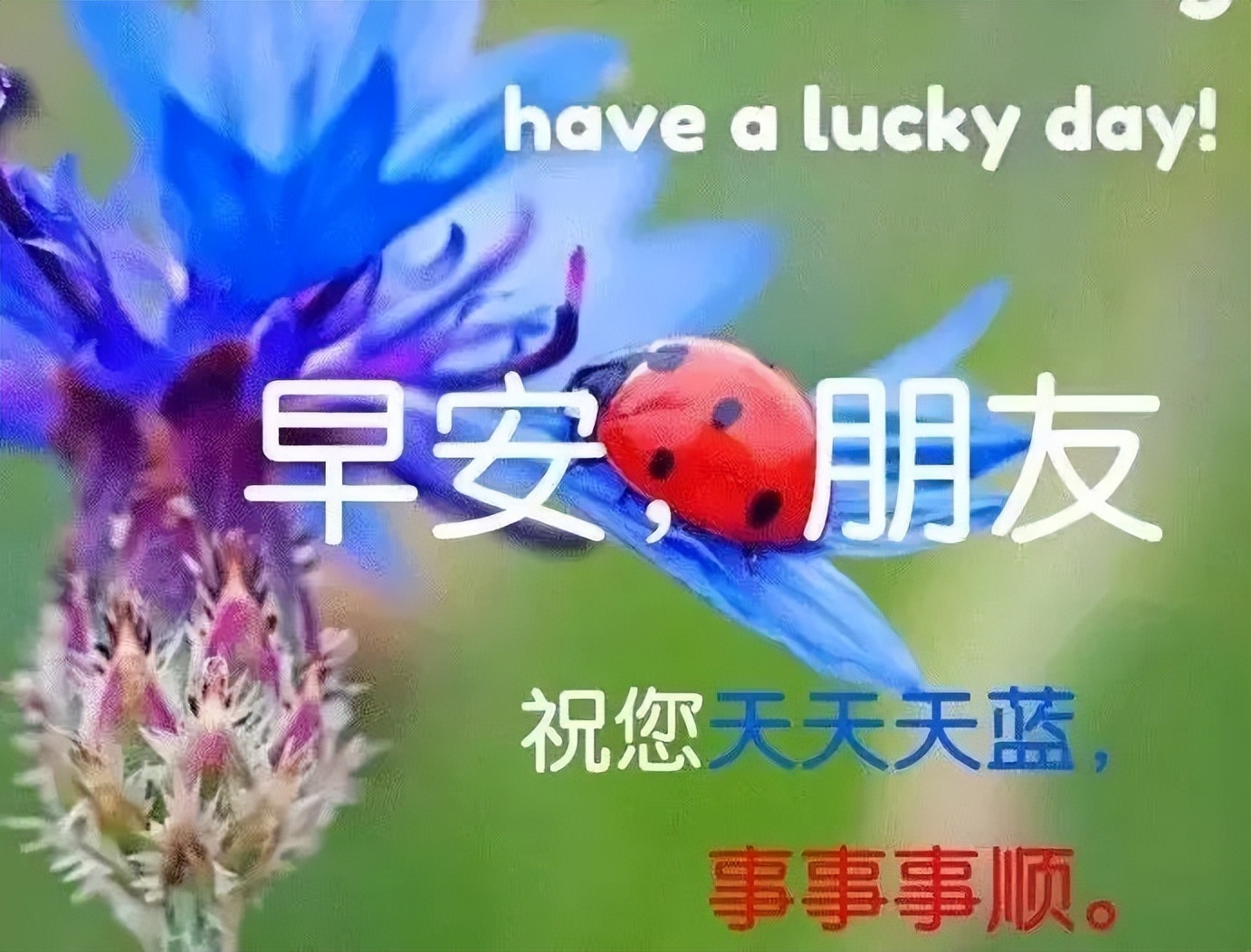 暖心图片表情包早上好,夏天炎热的早上好表情包