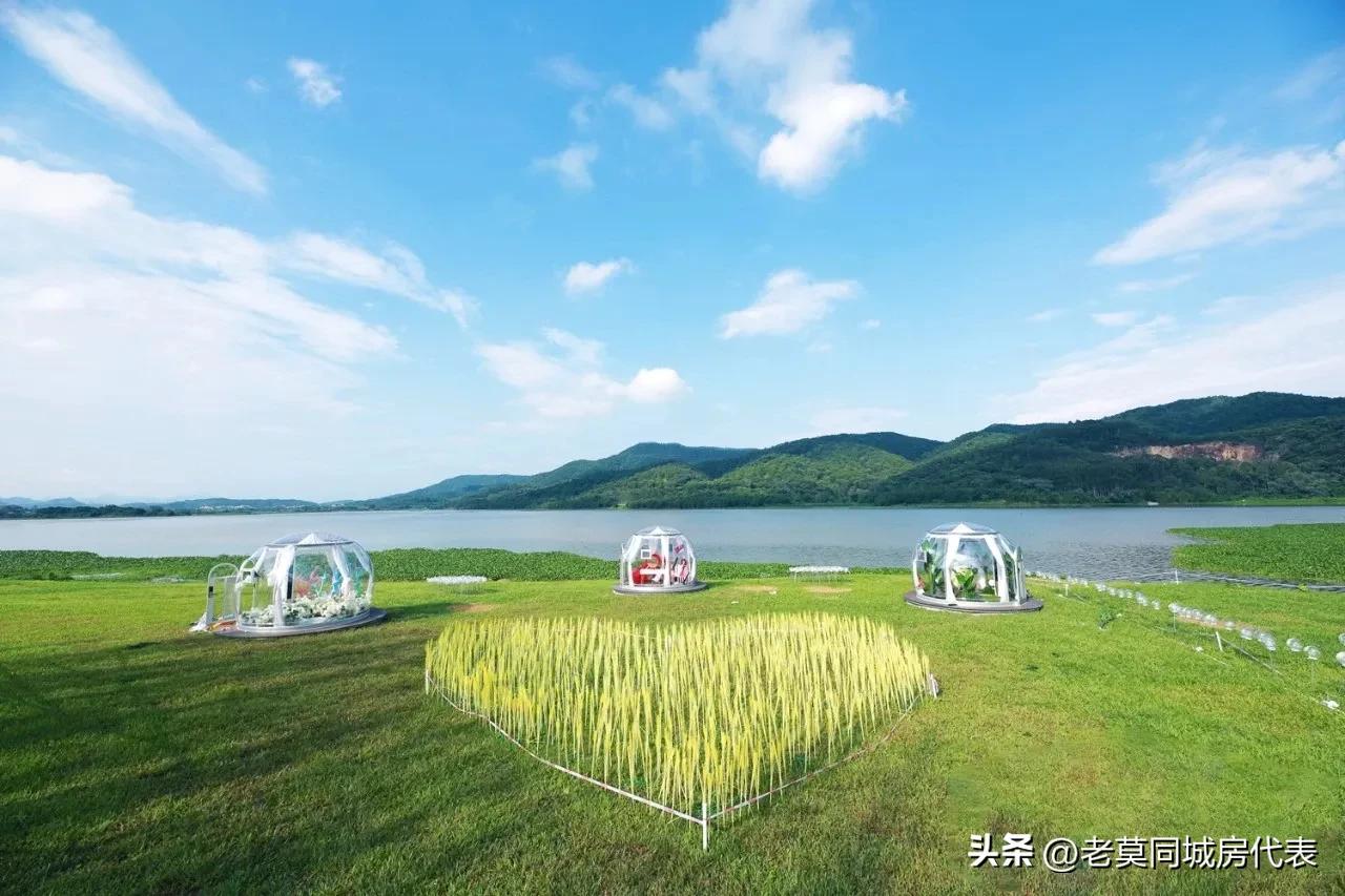 保利房子首付98万,保利资金链问题