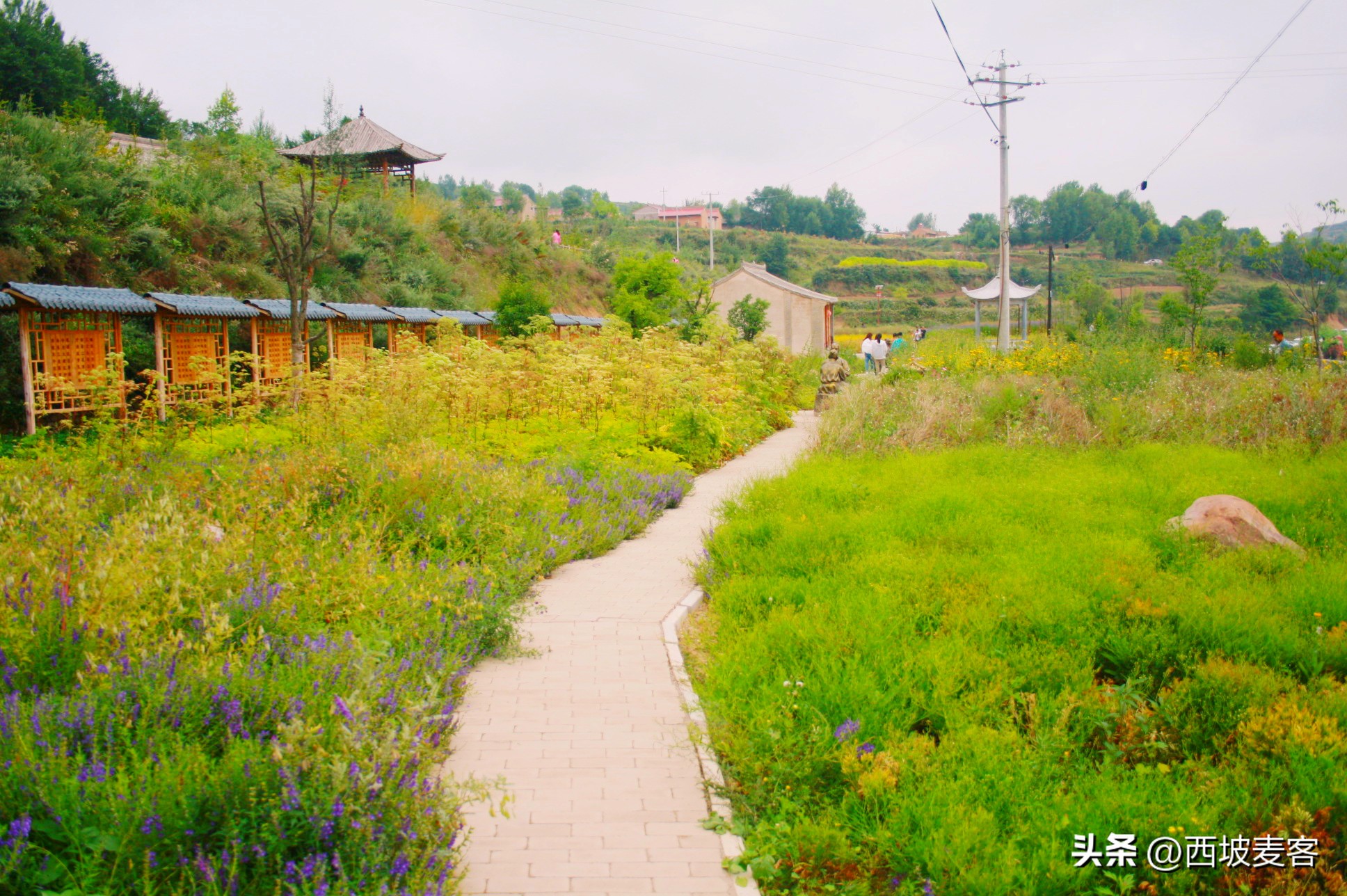 论述辛亥革命的历史意义及局限性,辛亥革命的意义和局限性