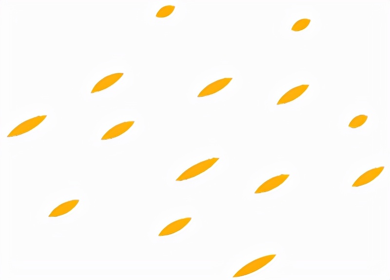 做芳疗师要什么条件,如何成为专业芳疗师