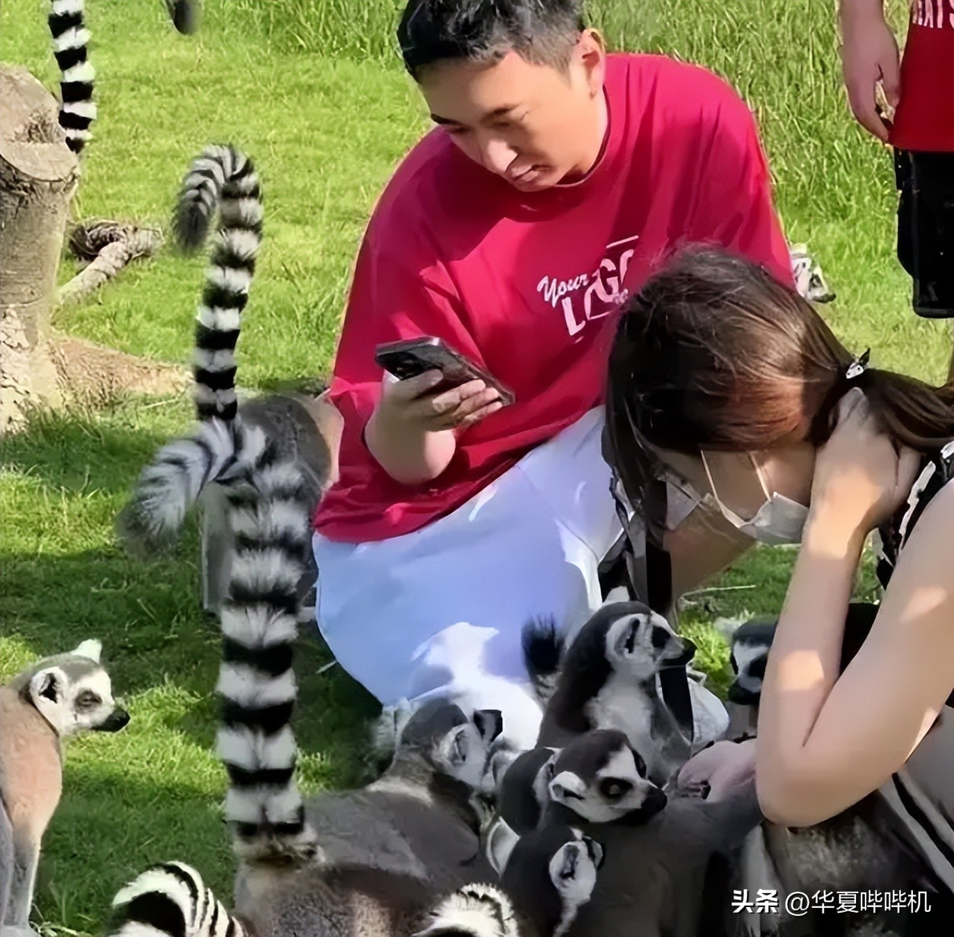 盘点王思聪的女朋友们,王思聪所有女友的详细介绍