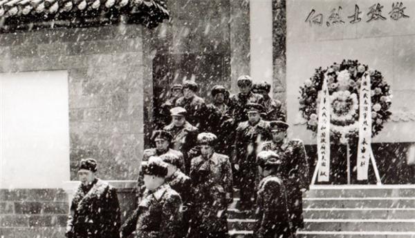 志愿者回家后如何安顿下来？杨勇建议，周恩来：中央同意