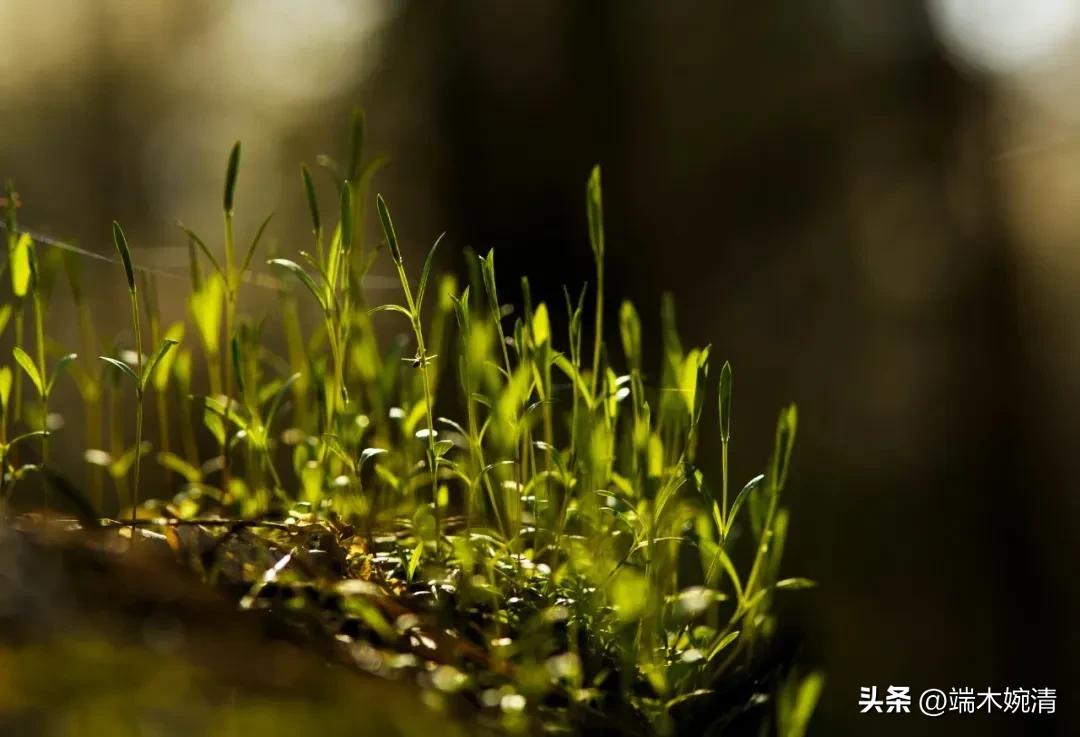 千万不要以貌取人电影,千万不要以貌取人沙雕动画