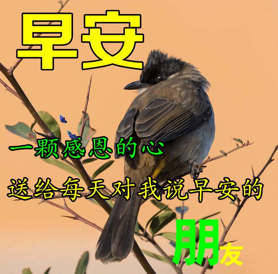 清晨问候早上好祝福动态图片,周六早上好动态图片早安心语