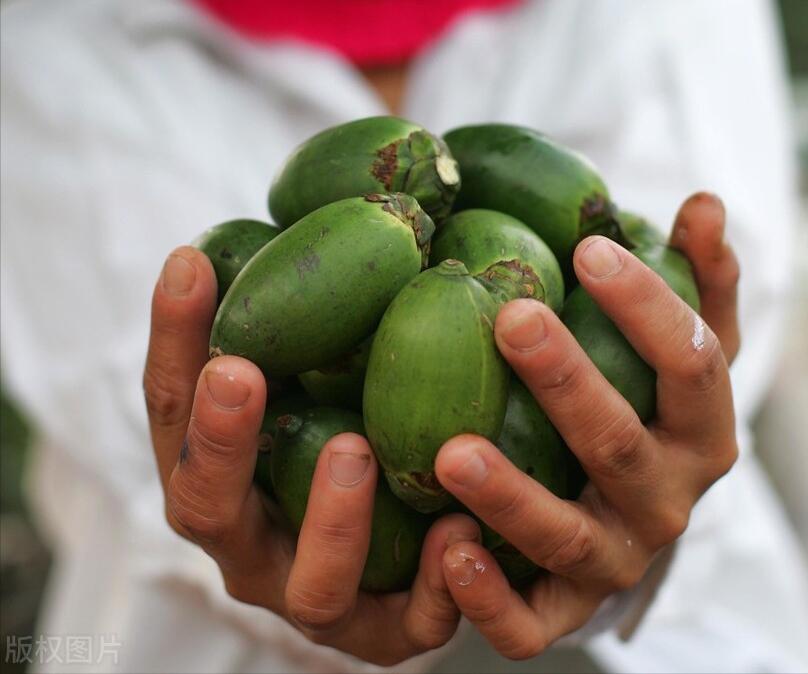 世界一级致癌物槟榔,一级致癌物槟榔有多恐怖