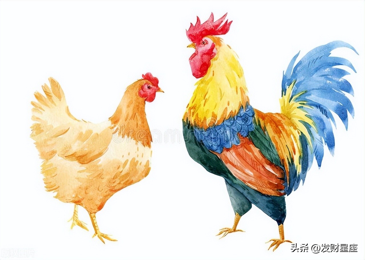 不会轻易付出真心的三大生肖,最容易挣钱的三大生肖男