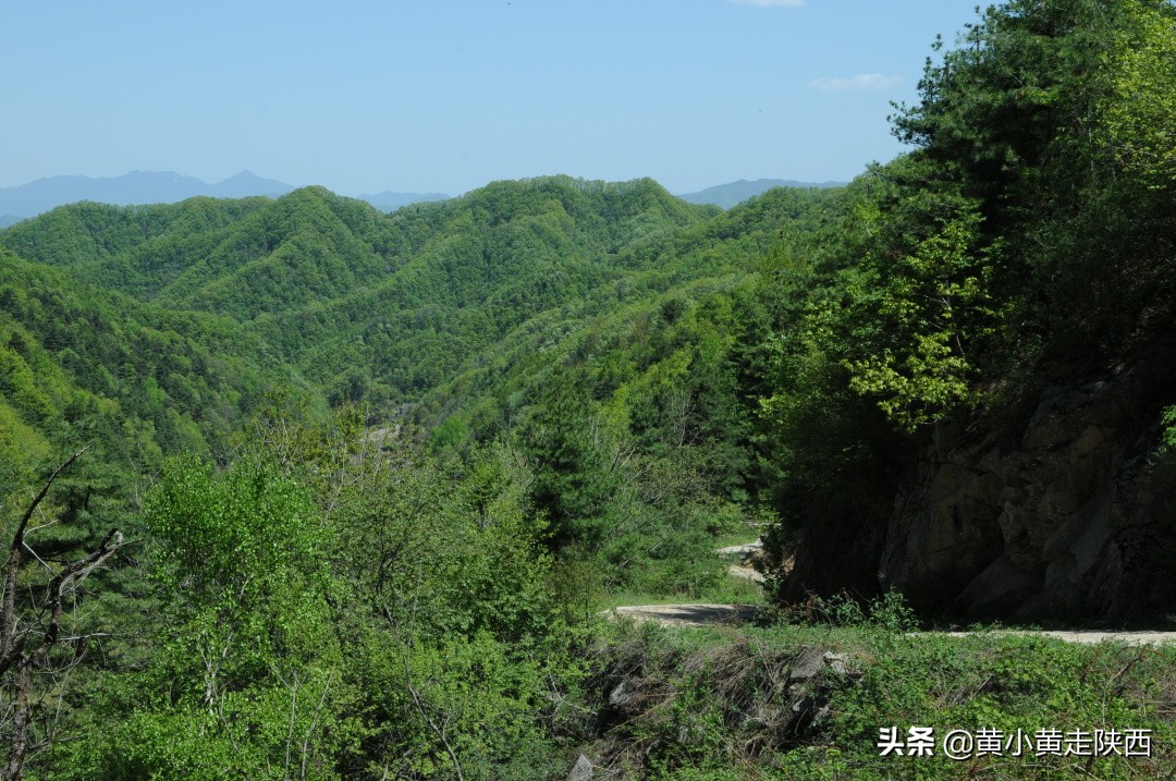 西安秦岭沣峪口夏季避暑去处,西安秦岭沣峪口附近哪里凉快