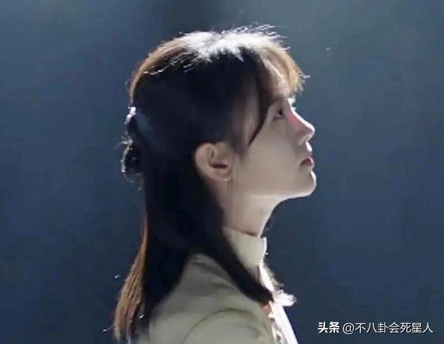 假双眼皮的明星,明星的假脸