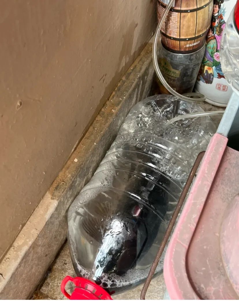 广东人每天吃隔夜菜,隔夜食材