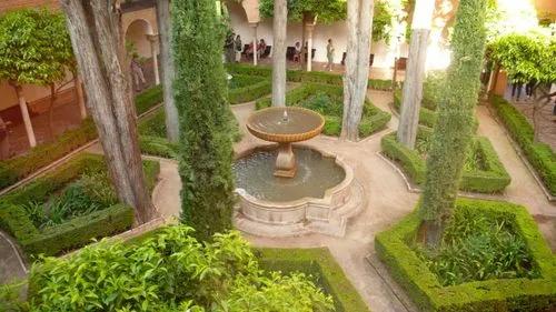 梵克雅宝双面黑白价格,梵克雅宝芭蕾舞胸针卡米拉