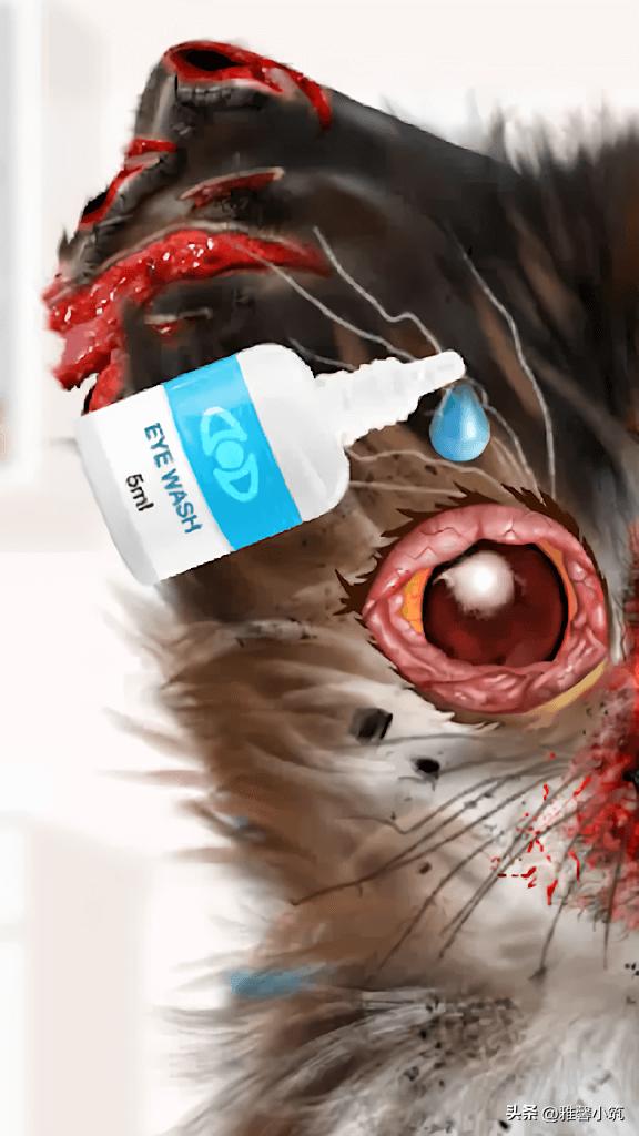 美容改造玩法换主角？宠物模拟游戏《CatMakeover》猫咪大变身