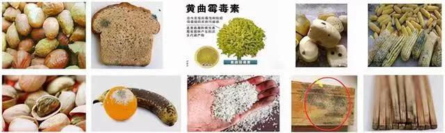 肝脏出现疾病原因有哪些,肝脏出现问题的前兆