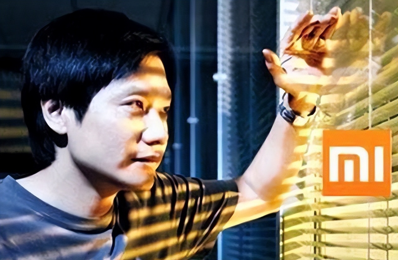 vivo在国外市场的占比,国外小米销量