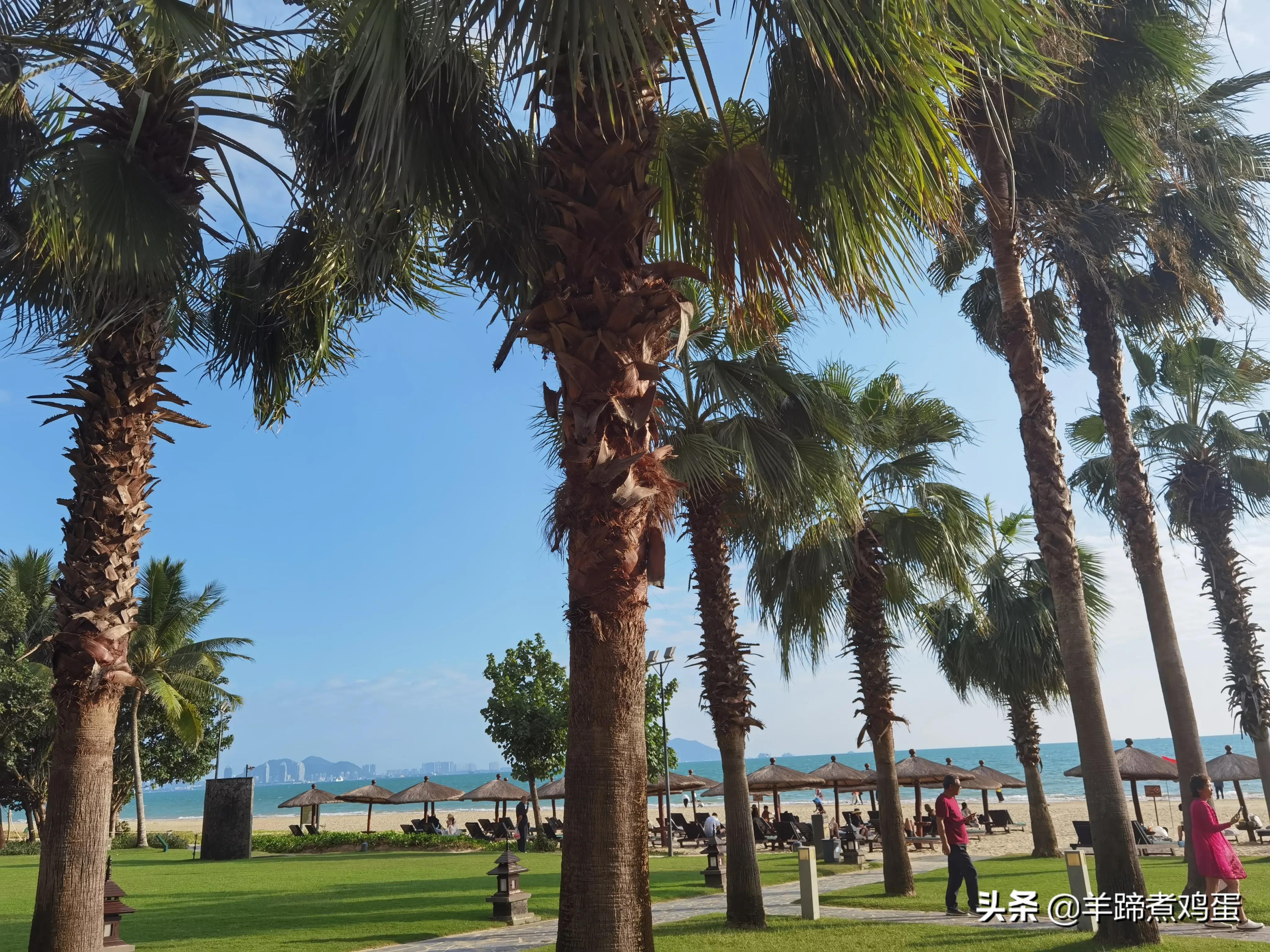 三亚椰梦长廊日落绝美,三亚湾椰梦长廊看夕阳最佳观赏点