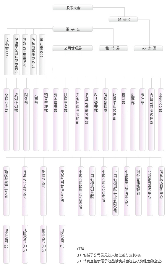 中国石油用量分析报告,中国石油的战略分析报告