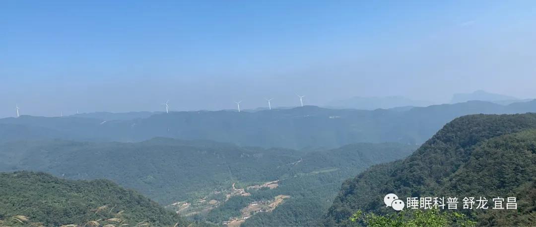 隔床睡不着觉什么原因,为什么总是隔几天就睡不着