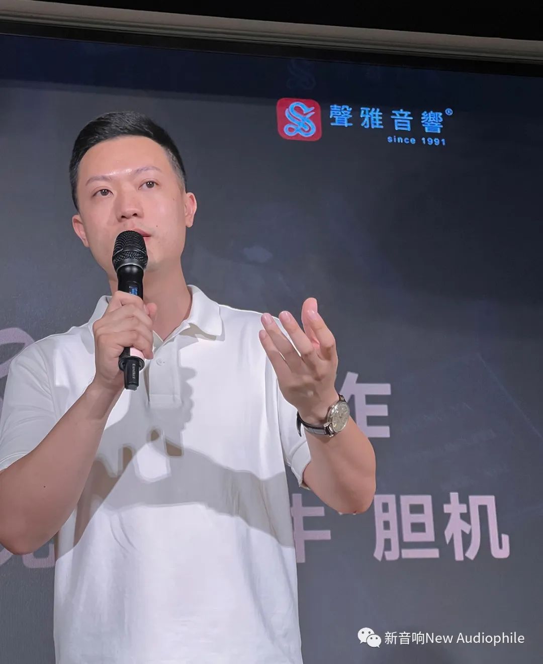 声雅a203功放升级什么功放好,声雅a30电子管合并功放