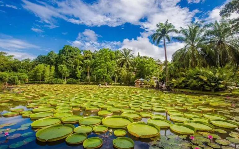中国适合旅居的地方有哪些,中国适宜旅居的城市
