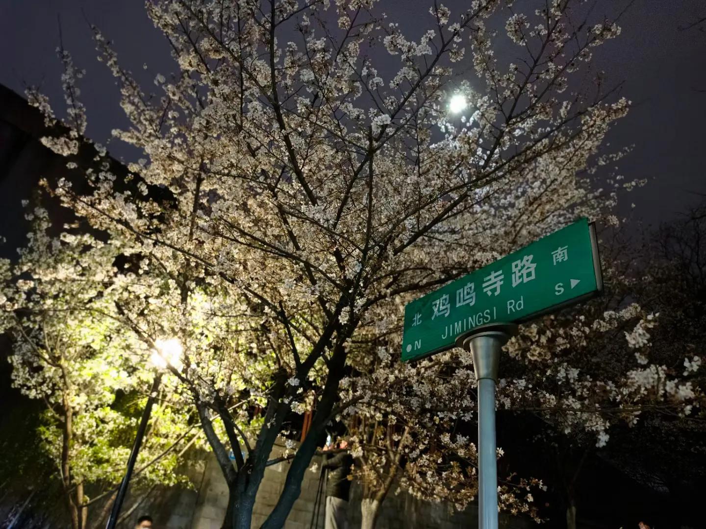 大学毕业，你们都在干啥？