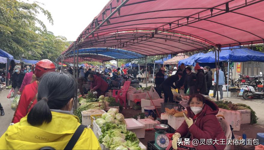 海南万宁有哪些大型农贸市场,海南万宁和乐菜市场