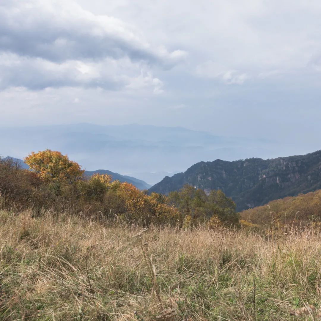 太白山是陕西最高点吗,秦岭最高峰太白山