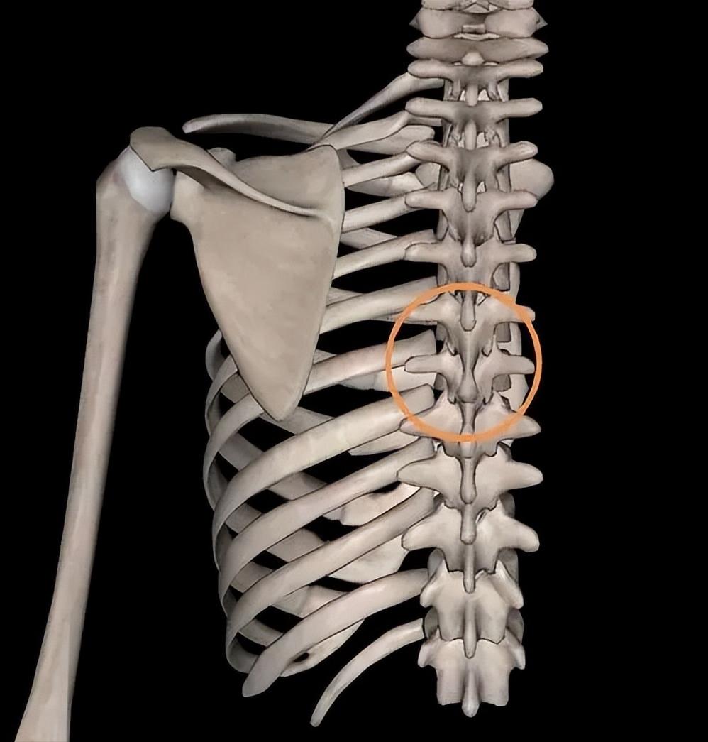 胸椎关节紊乱推拿手法,经方身痛逐瘀散配方