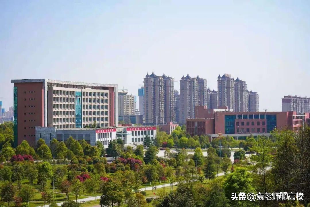 城市学院是什么档次的大学,城市学院是二本还是三本