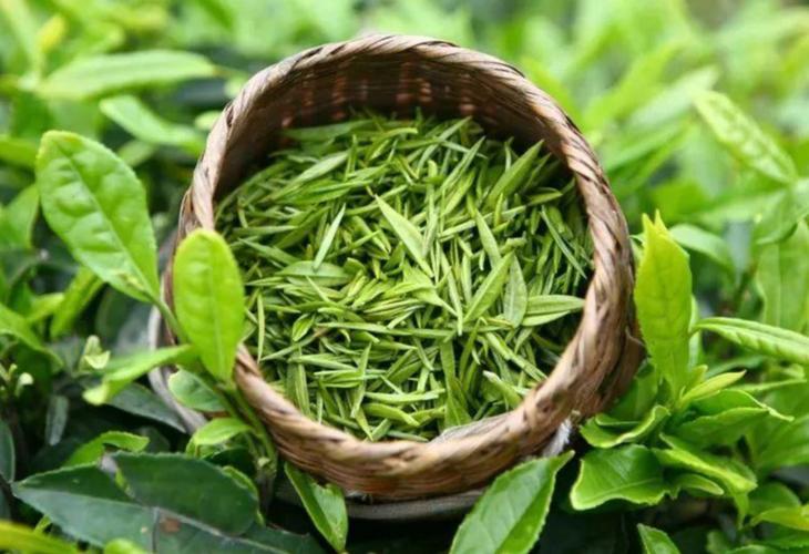 谷雨节气的习俗文字,谷雨节气风俗习惯