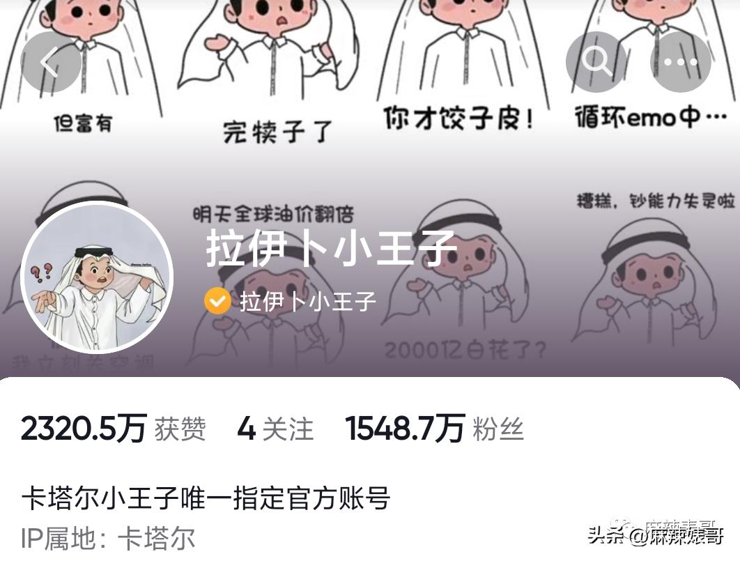 金晨模仿卡塔尔小王子晒照,金晨模仿卡塔尔王子被起诉了吗