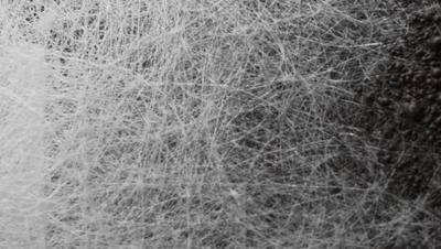 西牛皮防水科技有限公司怎么样,西牛皮防水董事长