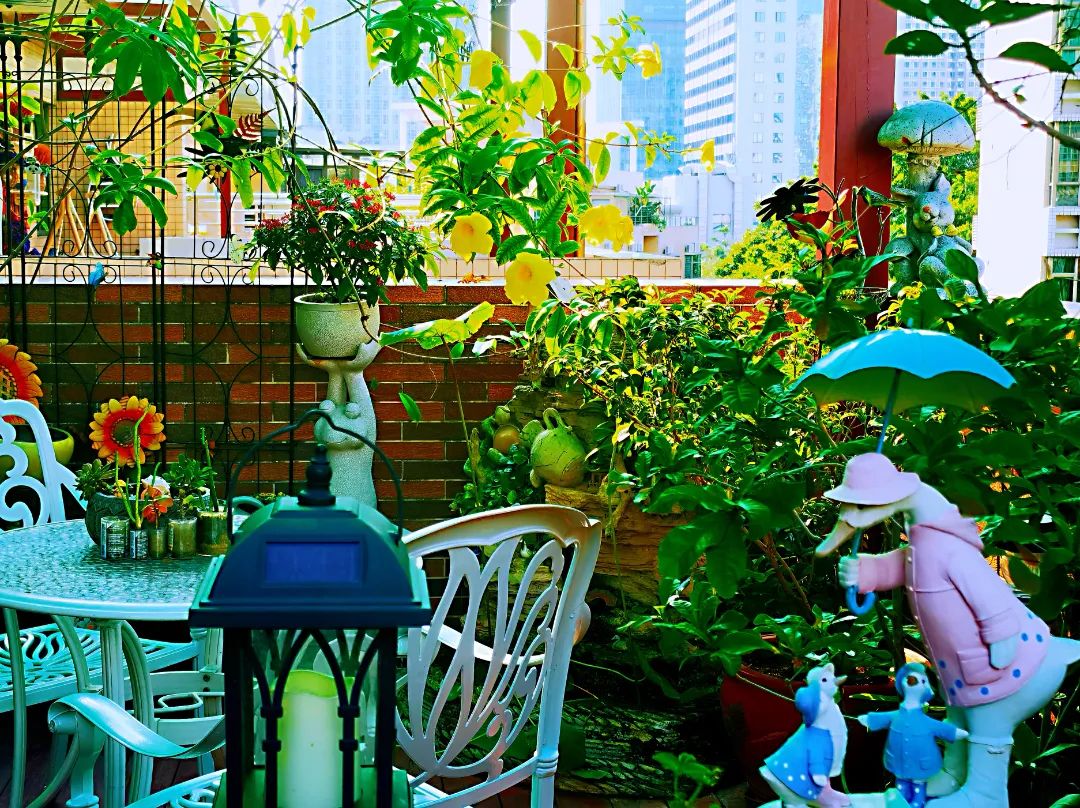 很多人羡慕的阳台,让别人羡慕的阳台