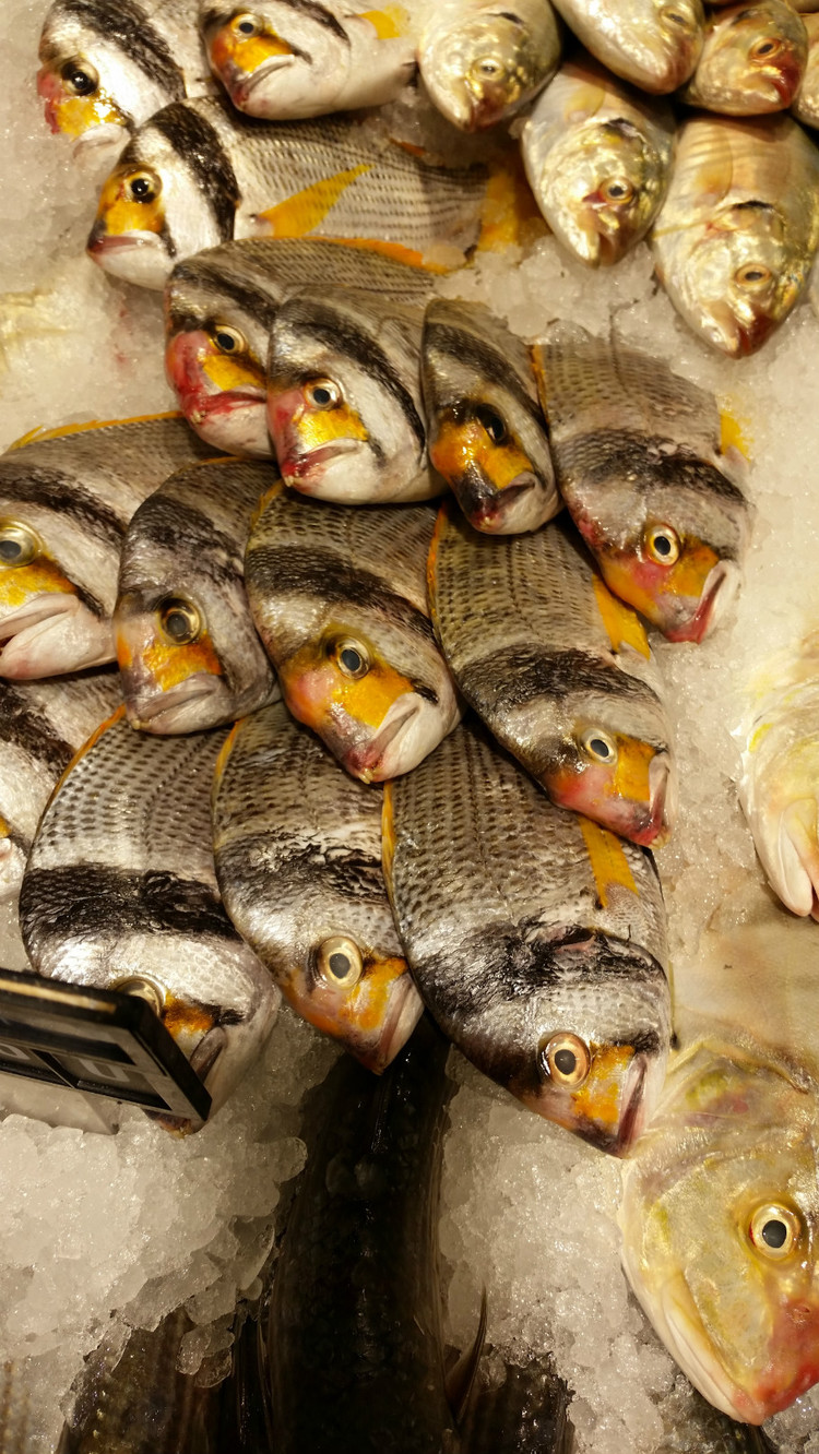 跟我一起去逛逛多哈的超市，想不到最贵的竟然是我们常吃的猪肉