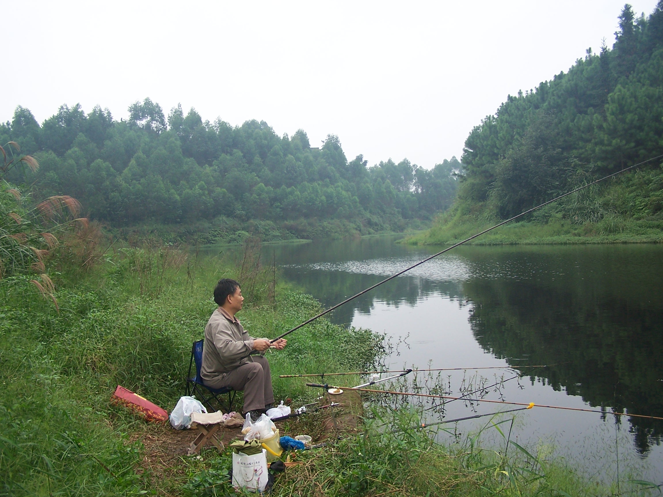 渔是什么东西,渔是指什么