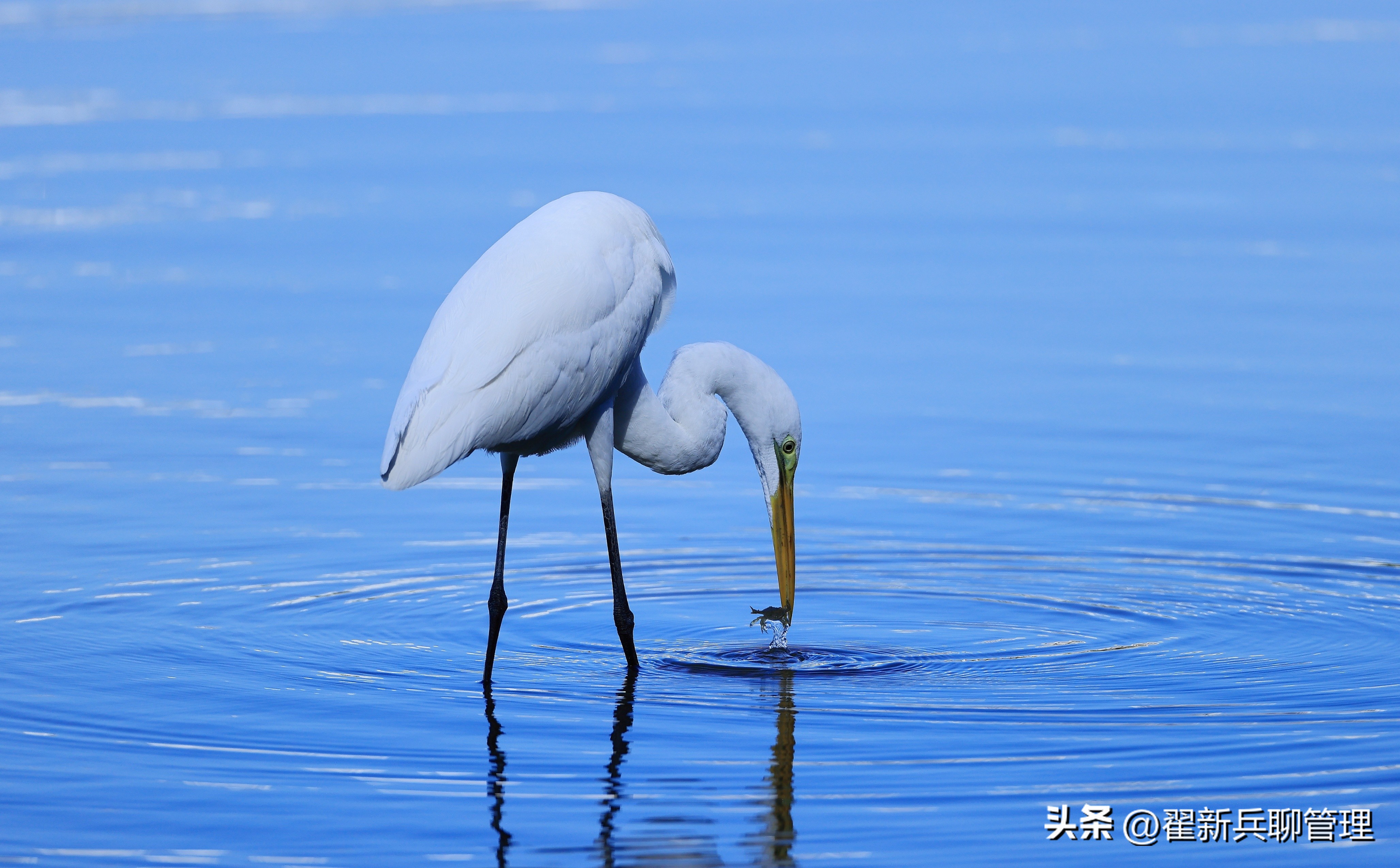 从钓鱼悟到的人生道理,钓鱼路上感悟人生最经典