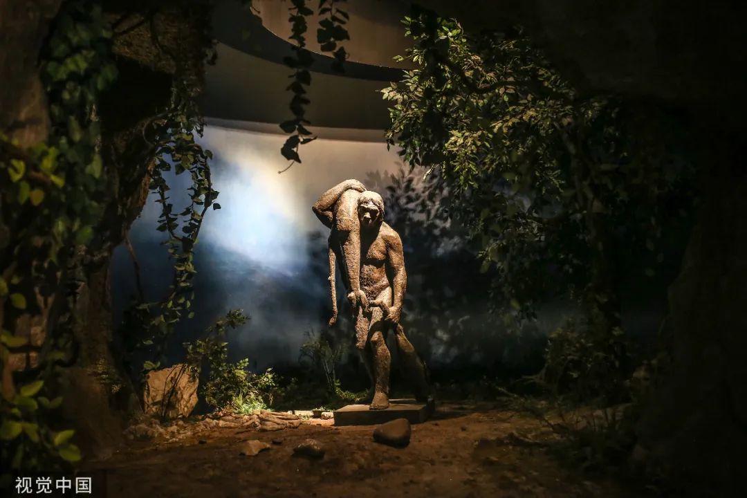 论中国足球,论足球美学