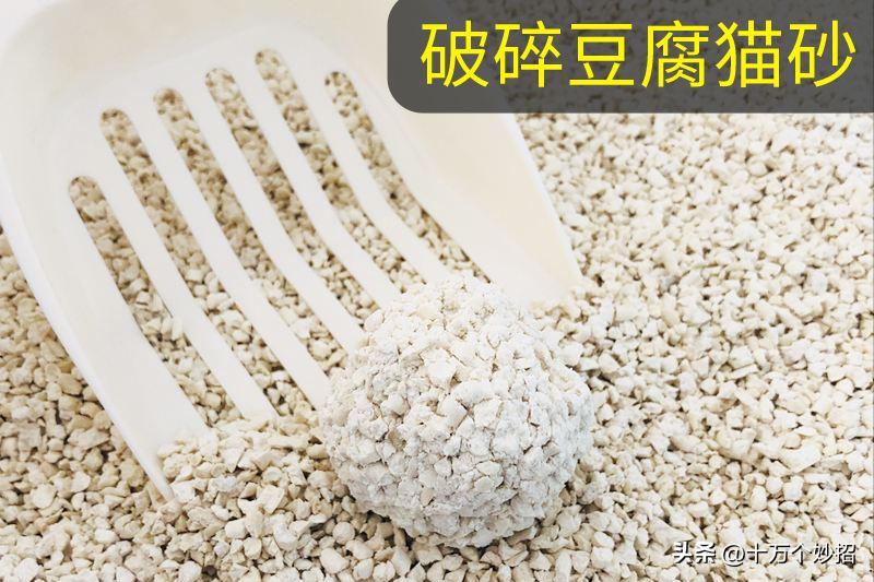 猫咪误食猫砂有怎样的后果 (猫咪用的猫砂有毒吗)