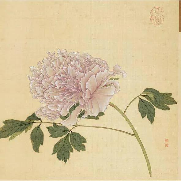 蒋廷锡牡丹画法,蒋廷锡百种牡丹画法