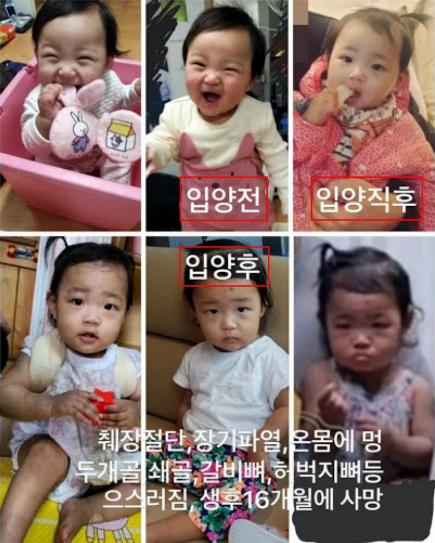 韩国最惨的虐童案件,最惨虐童案韩国