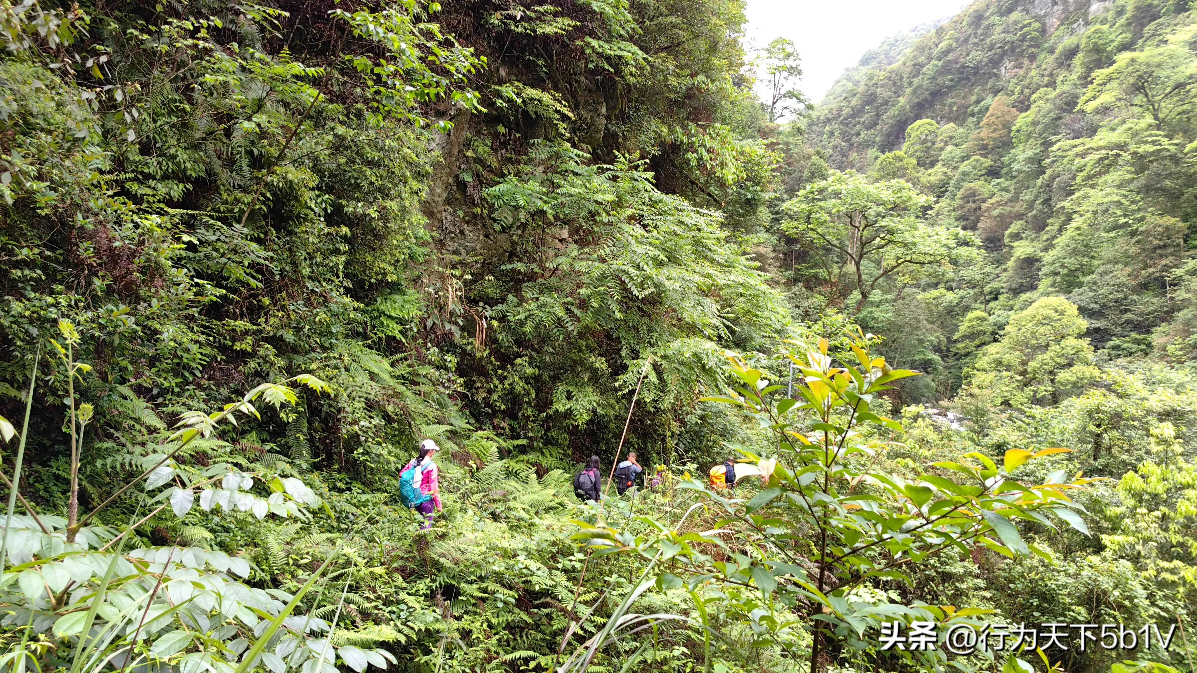 【探秘宛田红滩瀑布溯溪梦江吉翁瀑布】穿越花坪神秘风景线