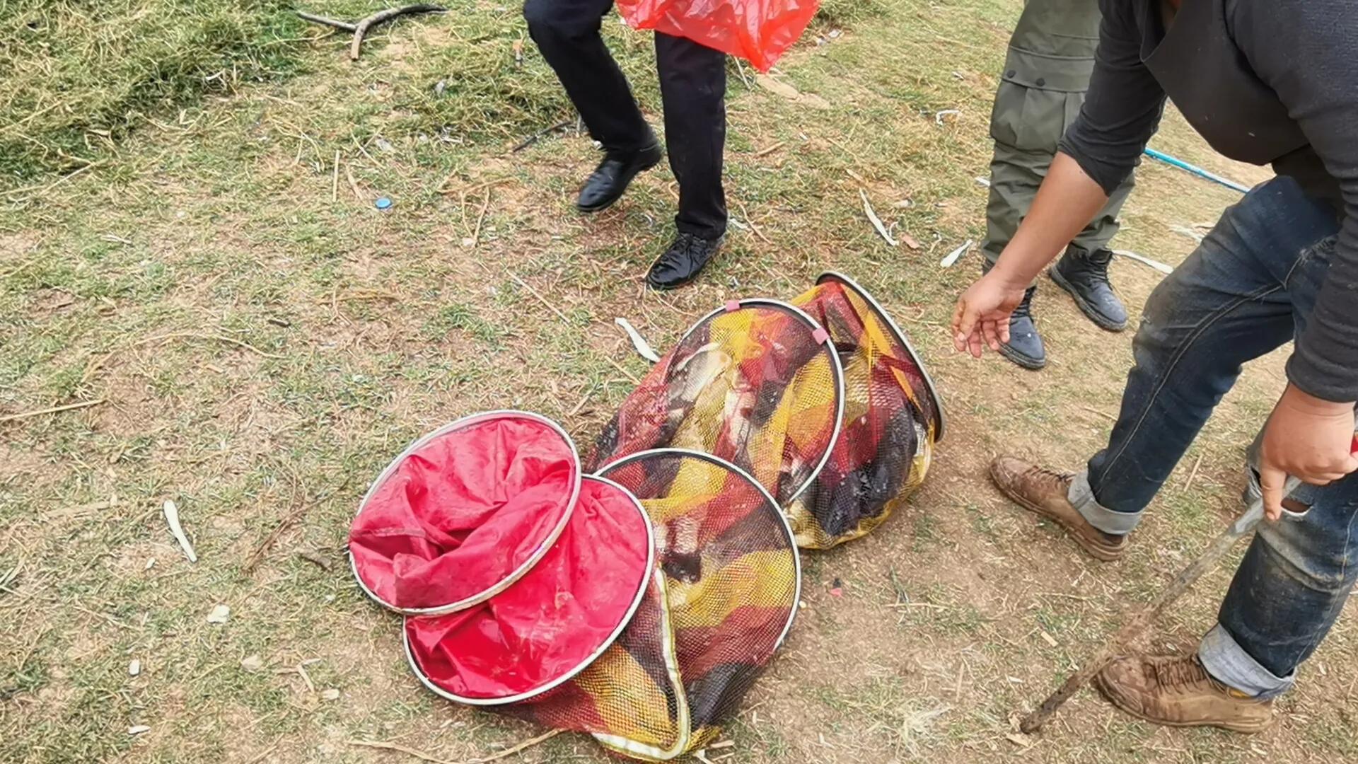 2018仙人湖库钓大赛,全国野钓大赛山塘