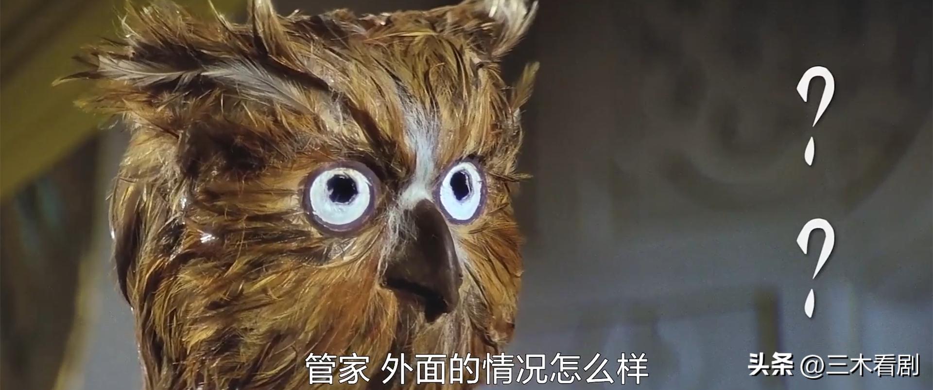 41年前兄弟3人，合作拍出无厘头开山电影，因为太超前票房惨淡