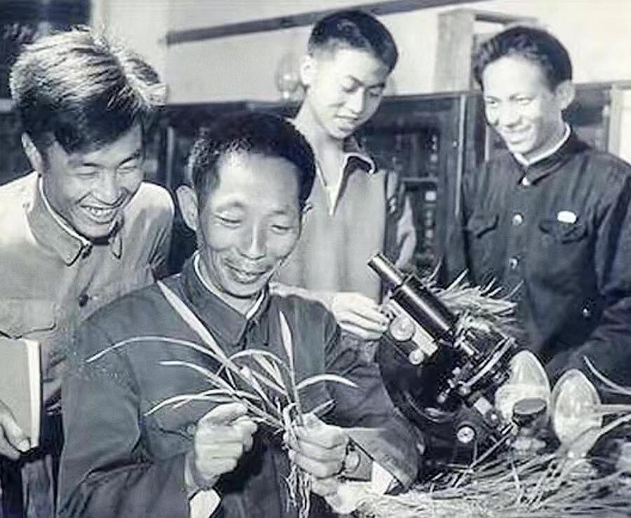 袁隆平年轻时的故事,袁隆平年轻时代