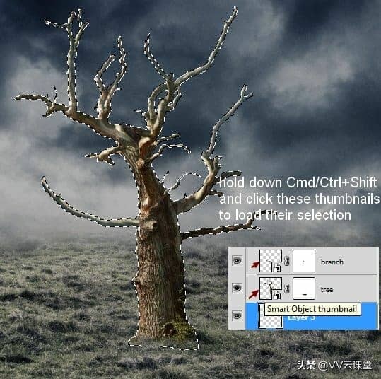 在Photoshop中创建带有月亮的树的超现实图稿，VV云课堂教程
