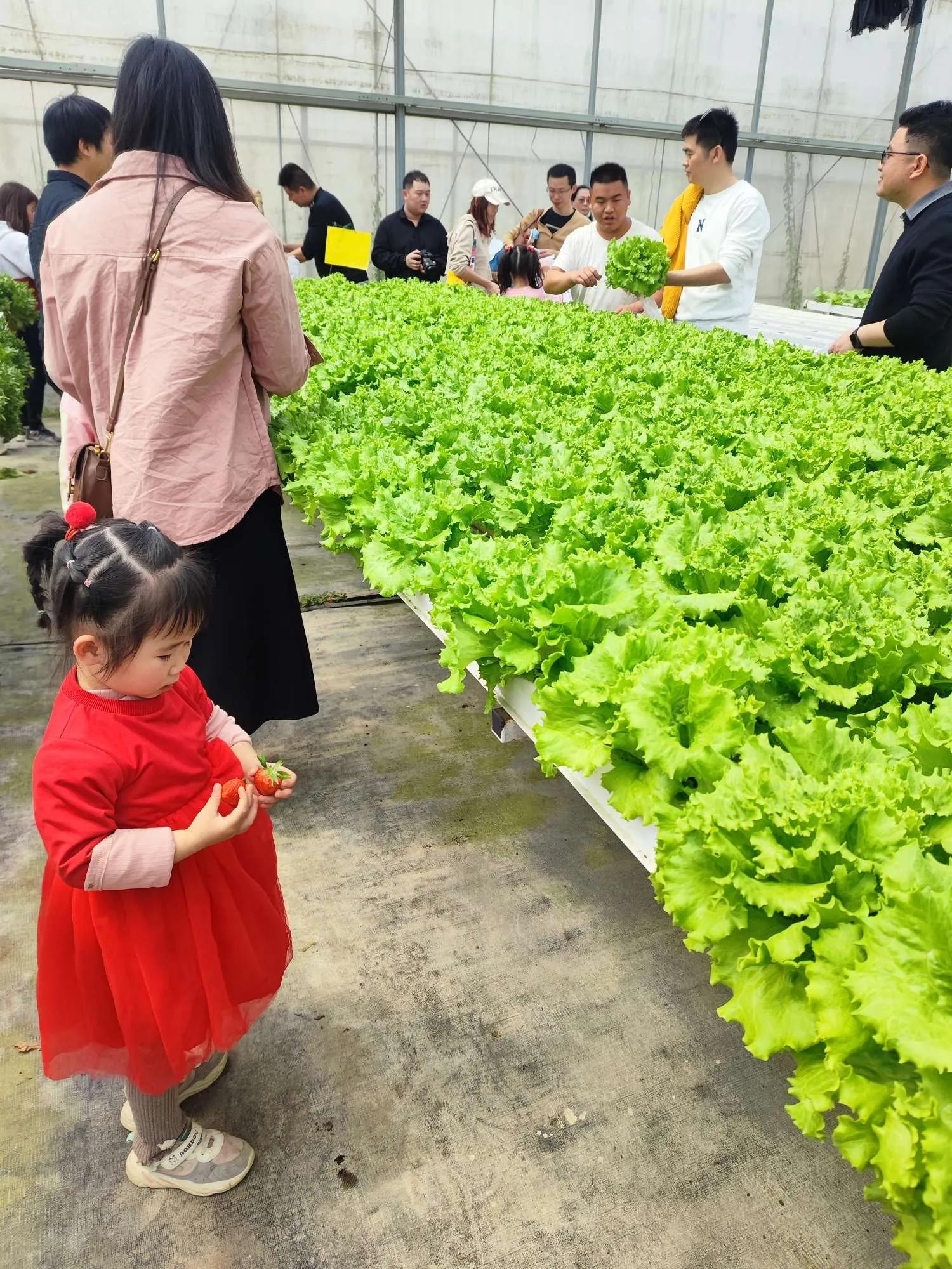 厦门王朝车友会——植树节活动之大帽山生态农场游记